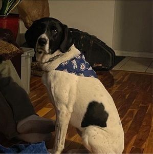 Meet your Posher, Shannon